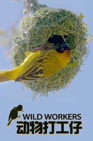 Wild Workers 2021</b> saison 01 