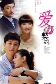 爱的契约 (2013)