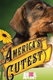 America's Cutest series tv