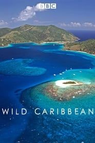 Wild Caribbean series tv