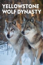 Image Yellowstone Wolf Dynasty
