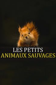 Les Petits Animaux Sauvages series tv