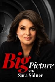 Big Picture with Sara Sidner series tv