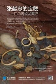 张献忠宝藏考古发掘记 (2017)