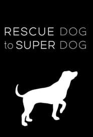 Rescue Dog to Super Dog series tv