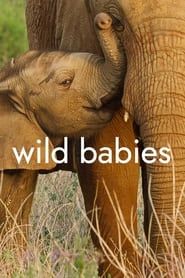 Wild Babies : Petits et Sauvages 2022</b> saison 01 