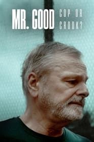 Mr. Good: Cop or Crook? series tv