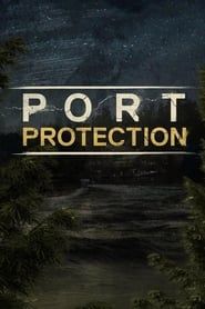 被保护的港湾 series tv