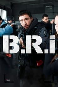 The Brigade series tv