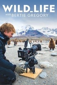 Wild Life With Bertie Gregory</b> saison 01 