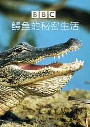The Secret World Of Crocodiles With Ben Fogle series tv