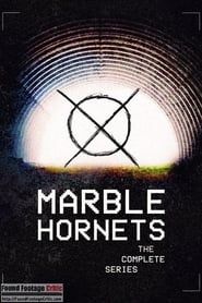 Marble Hornets series tv