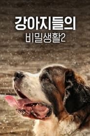 강아지들의 비밀 생활2 series tv