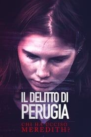 Il delitto di Perugia - Chi ha ucciso Meredith? series tv