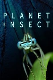 Planet Insect series tv