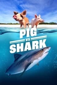 Image Pig vs. Shark