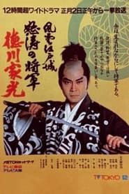 Crisis at Edo Castle - Angry Shogun Tokugawa Iemitsu series tv