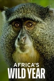 Africa's Wild Year series tv