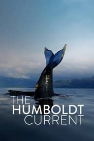 The Humboldt Current (2021)
