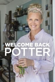 Welcome Back Potter series tv