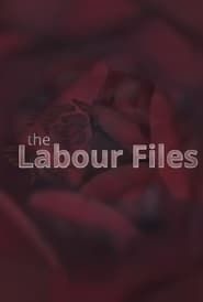 The Labour Files series tv