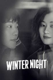 Winter Night-hd