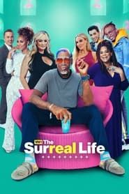 The Surreal Life series tv
