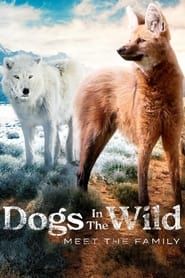 Dogs in the Wild: Meet the Family 2023</b> saison 01 