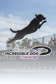 The Incredible Dog Challenge Tour series tv