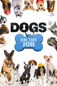 Image Dogs On the Job