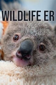 Wildlife ER series tv
