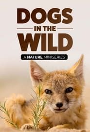 Dogs in the Wild series tv