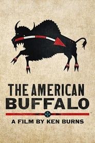 The American Buffalo 2020</b> saison 01 
