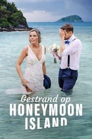 Image Gestrand op Honeymoon Island