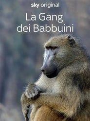 Gangs of Baboon falls series tv