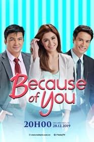 Because of You series tv