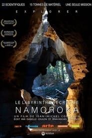 Le labyrinthe secret de Namoroka series tv