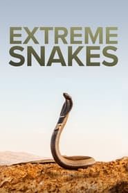 Extreme Snakes series tv