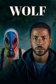 Wolf</b> saison 01 