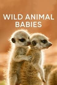 Wild Animals Babies series tv