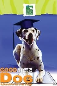 Good Dog University series tv
