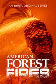 Image American Forest Fires: The Untold Story