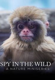 Spy in the Wild: A Nature Miniseries series tv