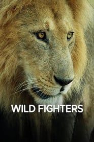 Wild Fighters</b> saison 001 