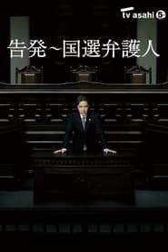 告発〜国選弁護人 (2011)
