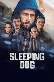Sleeping Dog</b> saison 01 