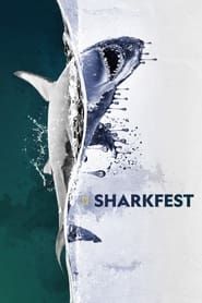 Image Sharkfest