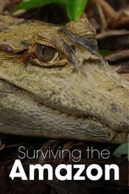 Surviving the Amazon series tv