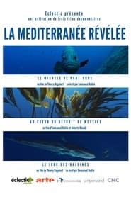 La Méditerranée révélée series tv