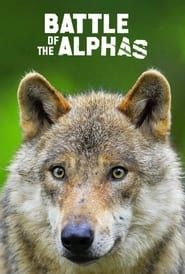Battle of the Alphas series tv